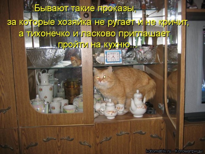 Котоматрица :) 