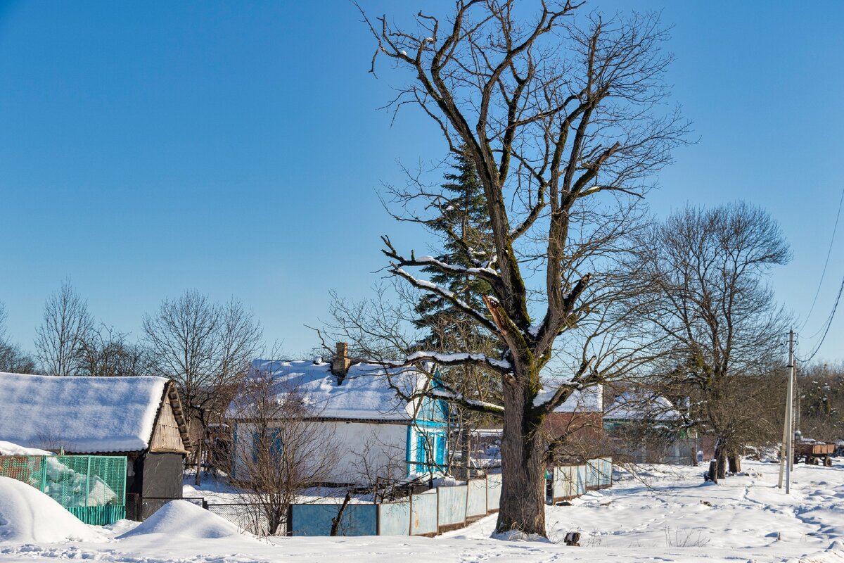 Хутор Зазулин: гуляла среди гусей, кур и овец и нашла немецкий военный мемориал 