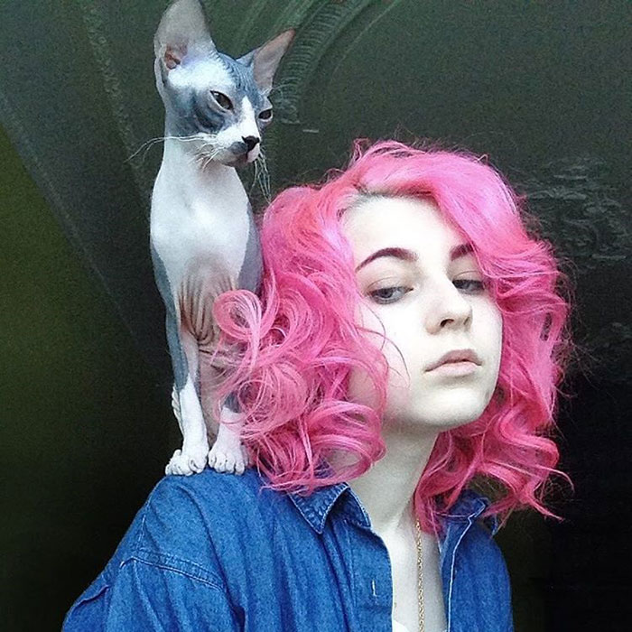 супер прическа с радужным котом