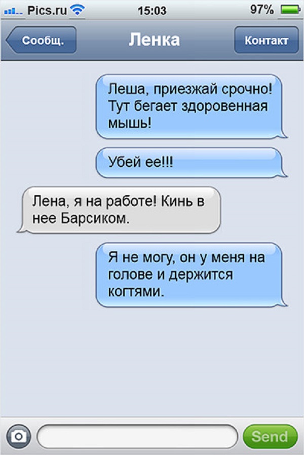 Мое сердце, смешные картинки с надписями для переписки