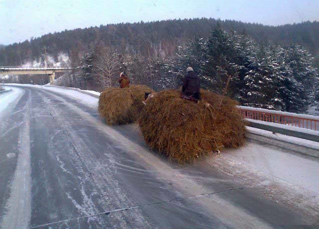 Всё вокруг мое, родное: картинки современной российской жизни люди, прикол, россия, юмор