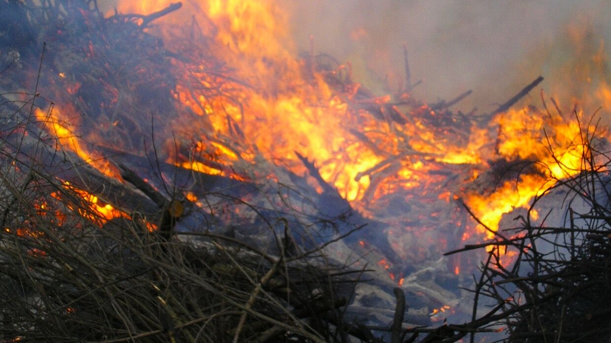 Начинающийся лесной пожар. Пожар. Валежный Лесной пожар. Лесные пожары в России. Рукотворные пожары.