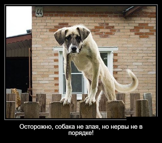 Самые новые демотиваторы