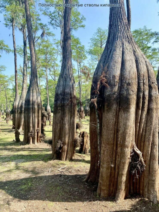 Пятничные фотоприколы: «Ребята, подождите!» Пятничные фотоприколы: «Ребята, подождите!»