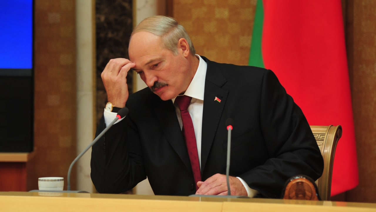 Лукашенко упрекнул экоактивистов за игнорирование строящегося забора в Беловежской пуще Политика