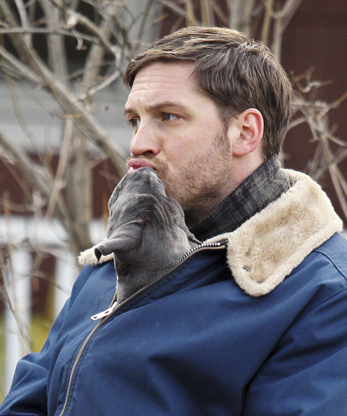 Love-for-dogs-tom-hardy