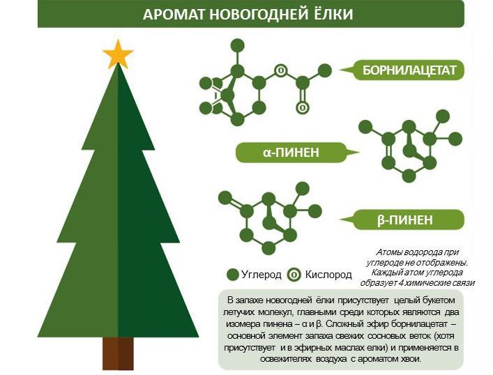 Химия Нового года и Рождества
