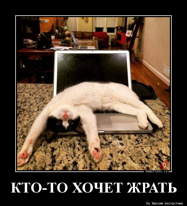 Демотиваторы дня: «Совсем зажрались…» Демотиваторы дня: «Совсем зажрались…»