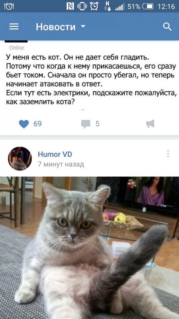 Кот не дает погладить