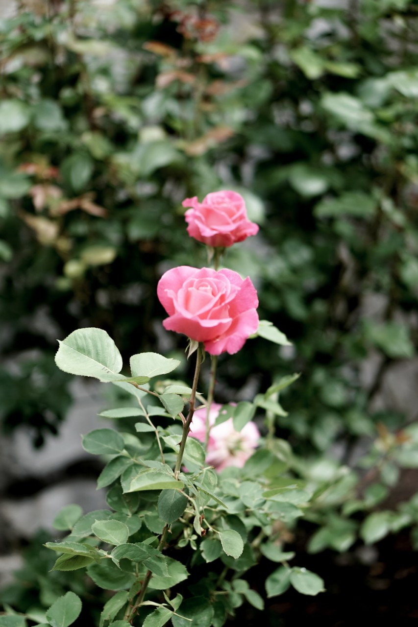 Spokane Washington-17.jpg