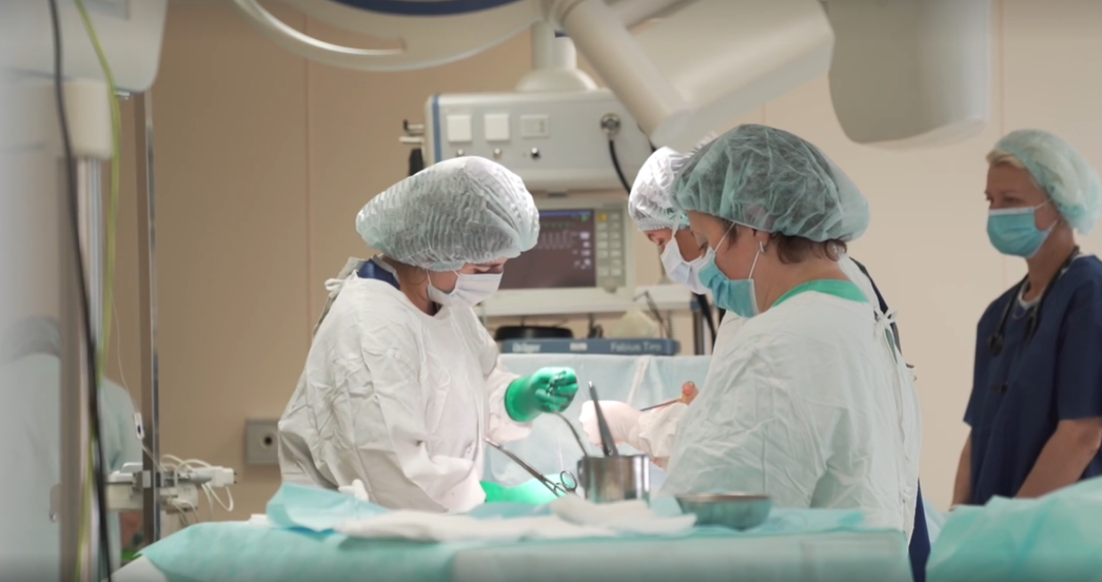 Невестку Ирины Муравьевой избил неизвестный в Подмосковье