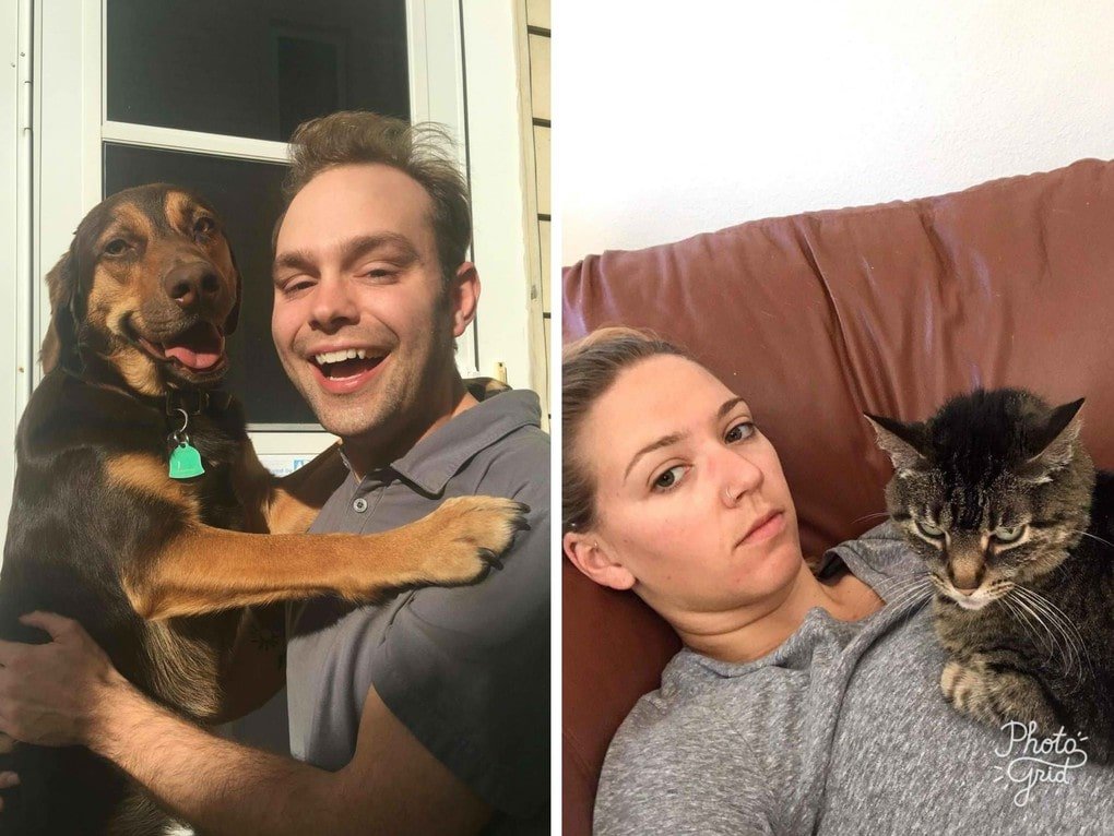 Счастливые домашние любимцы, они заразят вас настроением