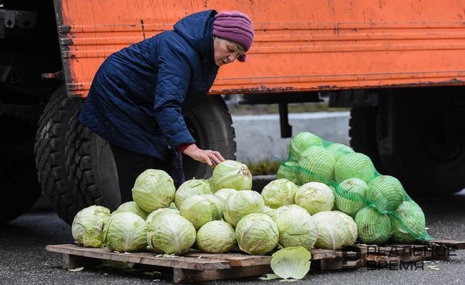 В Татарстане вновь зафиксировали снижение цен на продукты из 