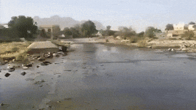 Подборка гифок Подборка гифок смешные картинки