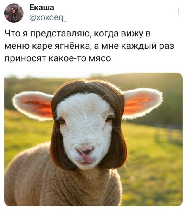 Прикольные комментарии из соцсетей: «Всё было вроде нормально…» Прикольные комментарии из соцсетей: «Всё было вроде нормально…»