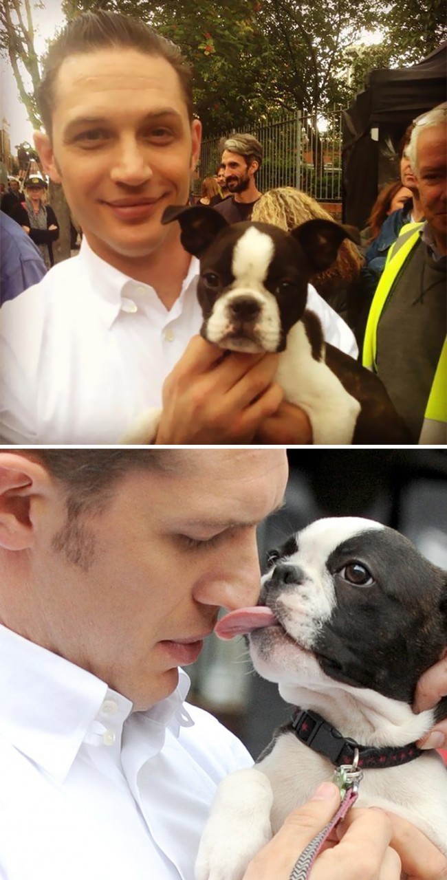 Love-for-dogs-tom-hardy