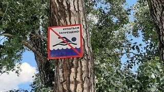 Предупреждающий знак / Фото: МЧС Алтайского края