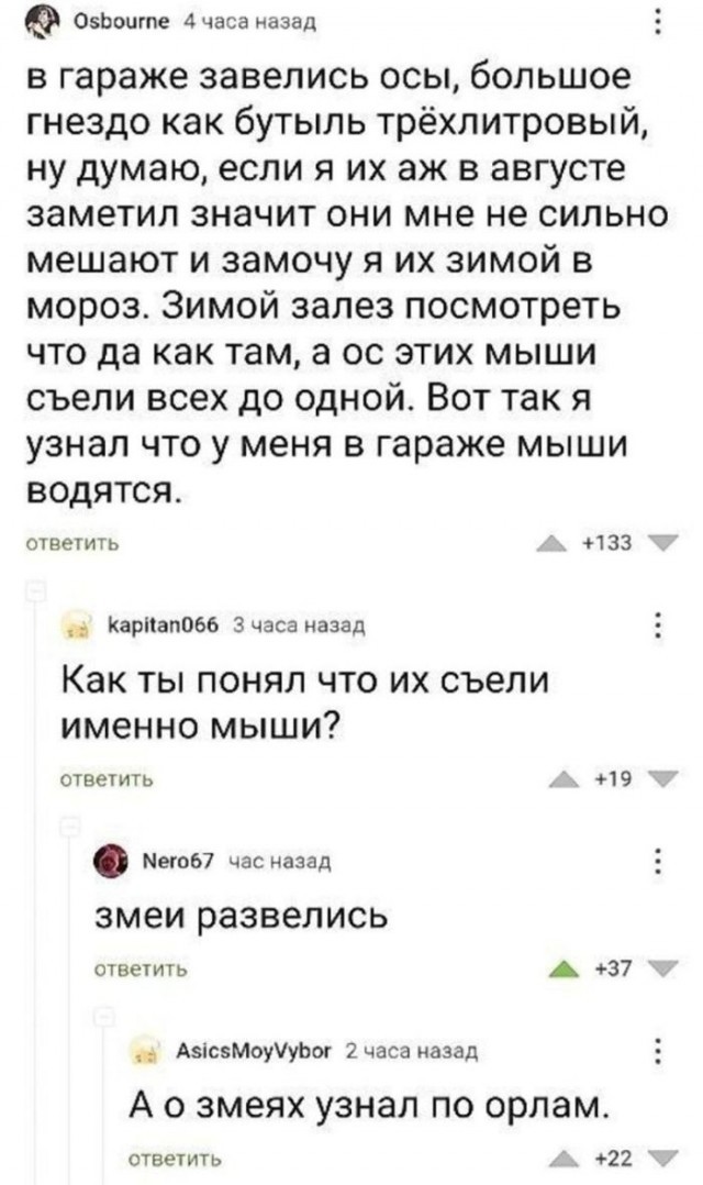 Прикольные комментарии из соцсетей: «Всё было вроде нормально…» Прикольные комментарии из соцсетей: «Всё было вроде нормально…»