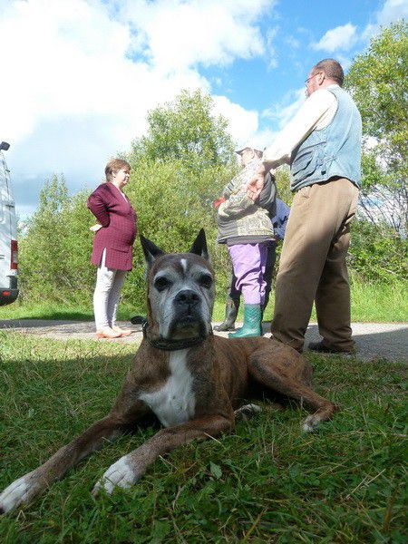Москва, деревня, фоторепортаж, Россия