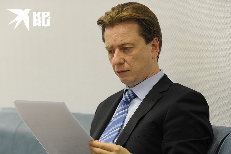 В России введут штрафы за выброшенных кошек и собак 