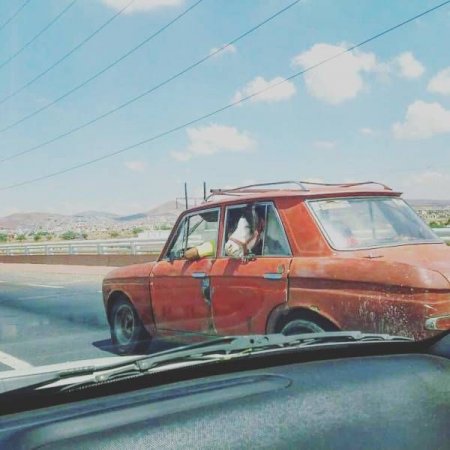 Прикольная фотоподборка (55 фото)