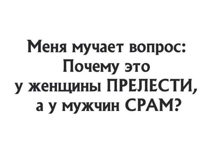 Какого цвета хамелеон, когда он смотрится в зеркало? Какого цвета хамелеон, когда он смотрится в зеркало? анекдоты