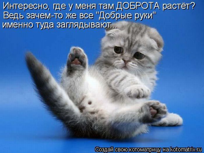 Мысли вслух :)