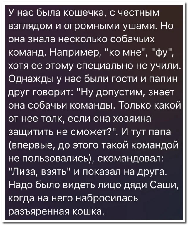 Интернет мемы во вторник и кастрюля 