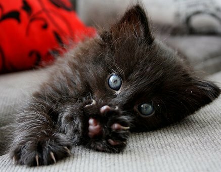 Мы тут временно. Пока не наедимся...