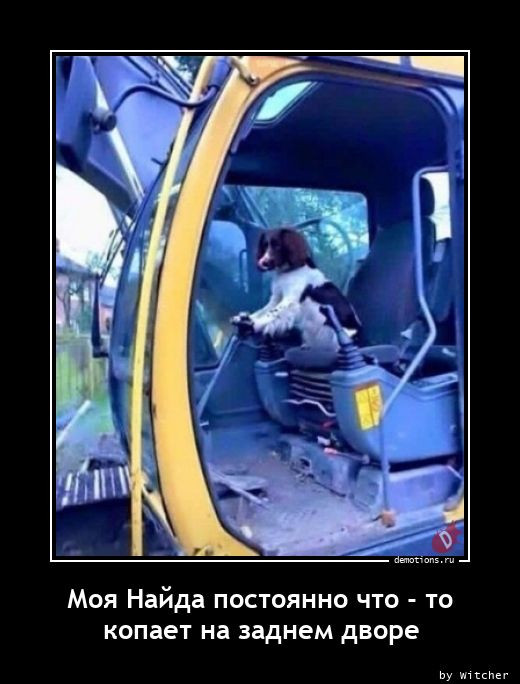 Демотиваторов пост: «Таити…» Демотиваторов пост: «Таити…»