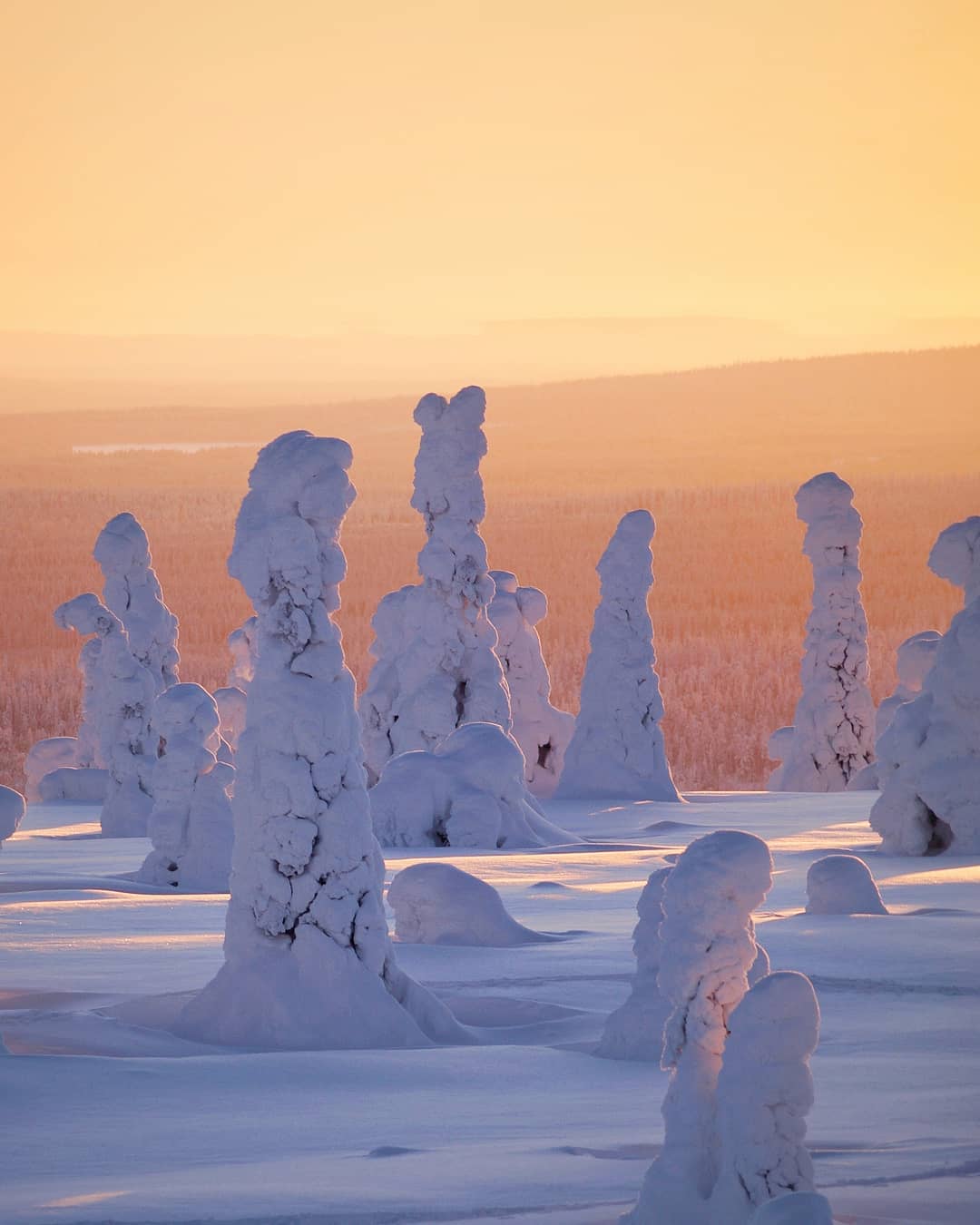 Непостижимая красота Исландии и Финляндии на волшебных снимках Эсси Траутвейн Исландия,север,Финляндия