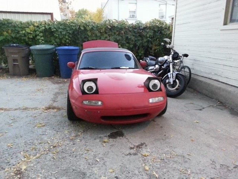 Гигантские бегающие глазки алкоголь, опьянение, покупка