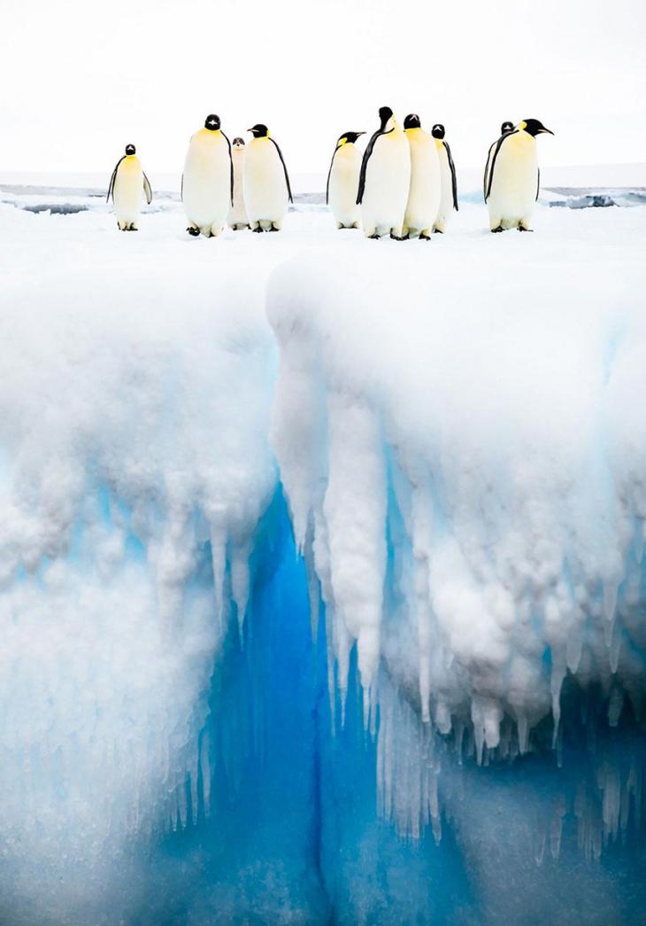 30 потрясающих фотографий с престижного фотоконкурса Siena International Photo Awards 2018 30 потрясающих фотографий с престижного фотоконкурса Siena International Photo Awards 2018 интересное