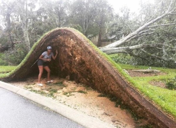Внезапные последствия урагана Мэтью