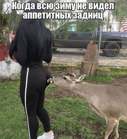 Прикольные комментарии (21 шт)
