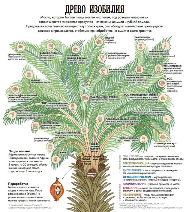 Пальмовое масло: неизбежное зло Африка,охрана природы,пальмовое масло,природа,производство,экология