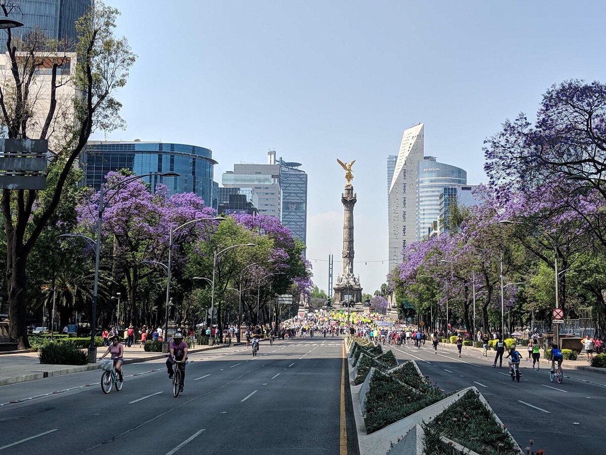 Главная улица Мехико Пасео де ла Реформа. Красиво. themonumentous.com