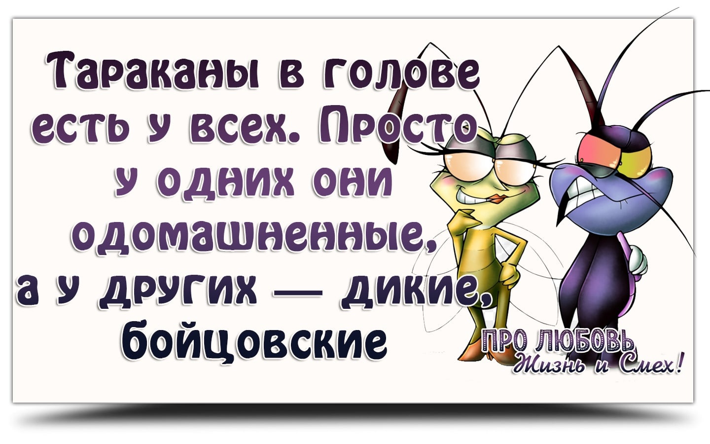 У каждого свои тараканы в голове картинки прикольные картинки