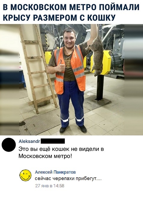 Ох уж эти социальные сети и их неповторимые комментаторы! Ох уж эти социальные сети и их неповторимые комментаторы!