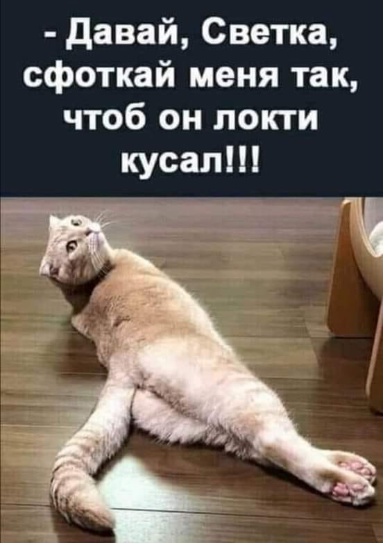 Одна блондинка спрашивает у другой про мужа: — Он у тебя кто?... Весёлые,прикольные и забавные фотки и картинки,А так же анекдоты и приятное общение