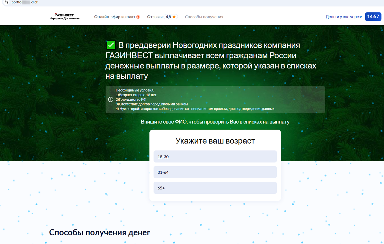 fake_newyear_payments_2024