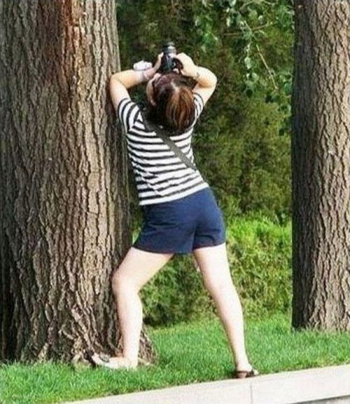 Фотографы за работой