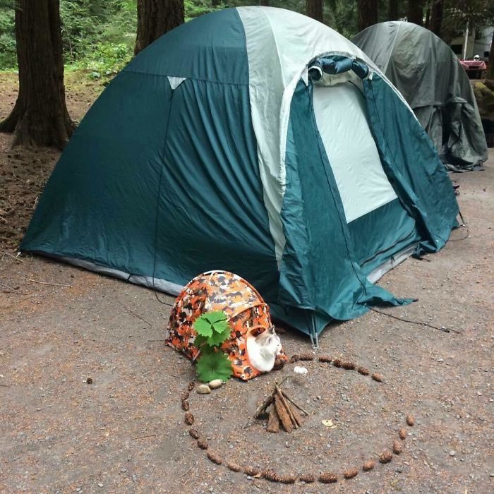 Hmmm