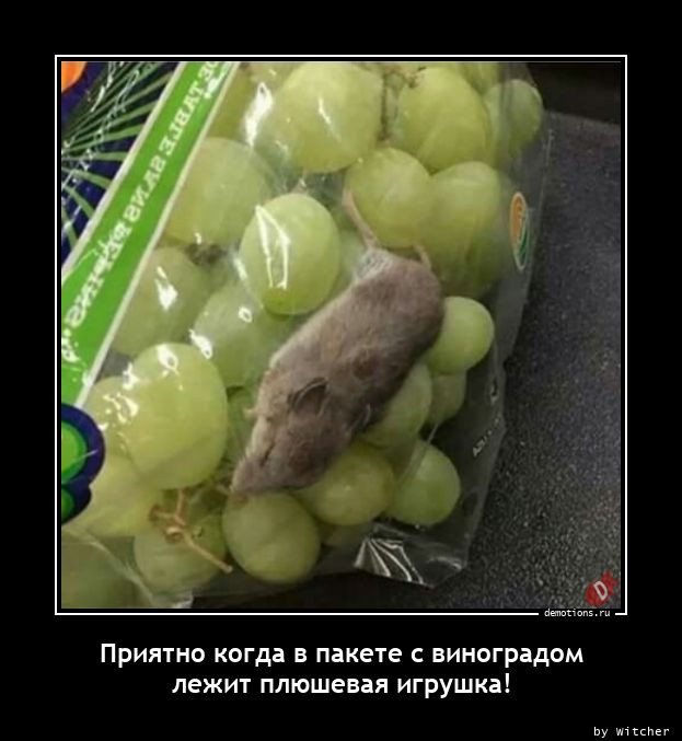 Демотиваторов пост: «Таити…» Демотиваторов пост: «Таити…»