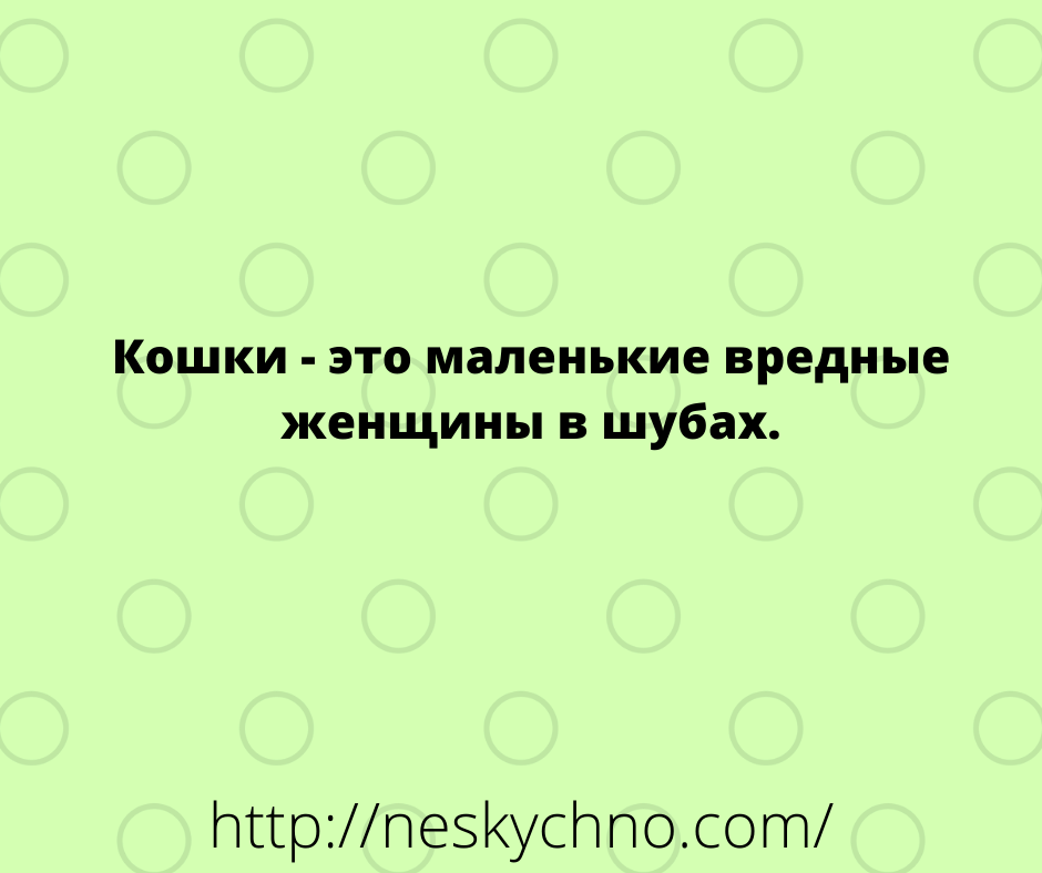 Немного добрых и смешных анекдотов из жизни Немного добрых и смешных анекдотов из жизни