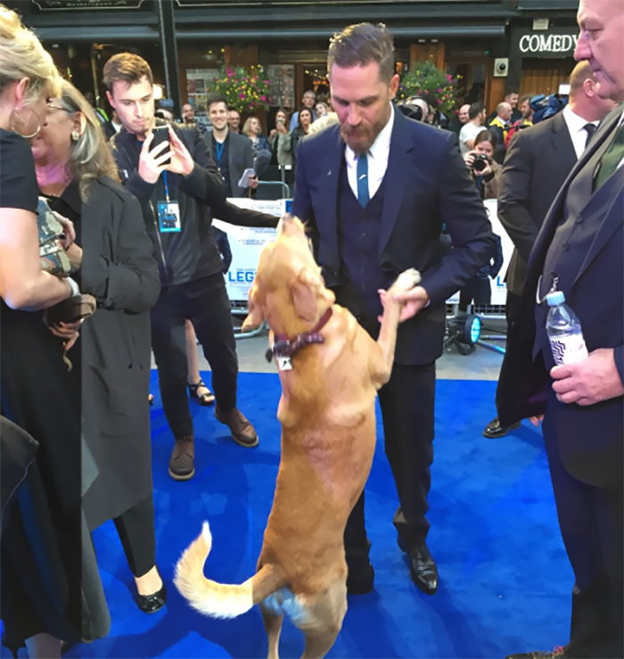 Love-for-dogs-tom-hardy