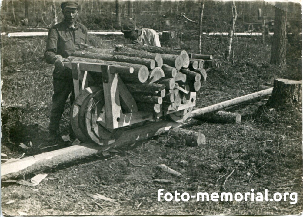 «Я в расстрелах участия сам не принимал, так как не был членом партии» «Я в расстрелах участия сам не принимал, так как не был членом партии»