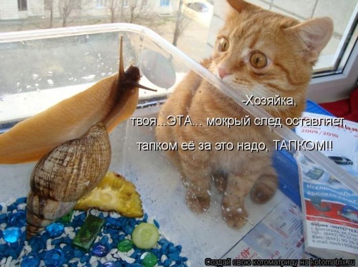 Мысли вслух :)