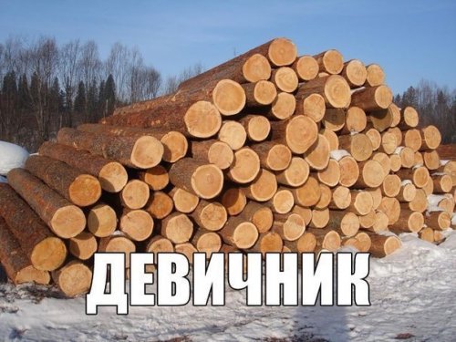 Прикольные фотомемы (28 шт)