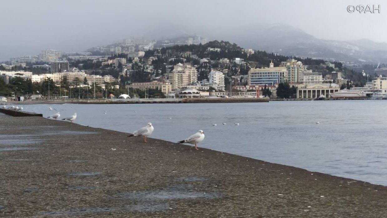 В Крыму назвали причины, почему города на ЮБК снова будут получать воду по графику